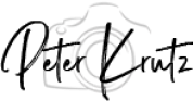 web-Logo